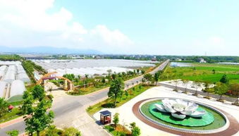 衢州邁入旅游發(fā)展新時(shí)代 以全域思維擘畫未來藍(lán)圖